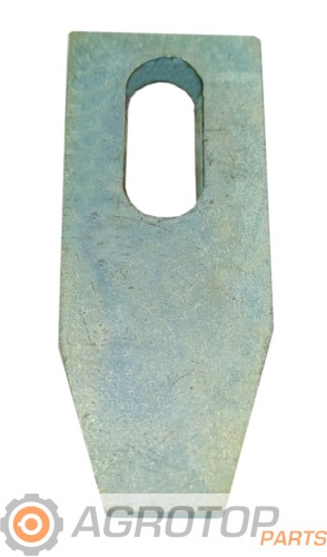 7038488.jpg